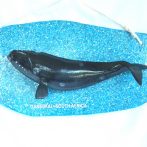 Plaque – Whale Wall Plaque