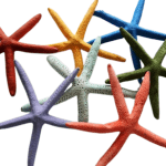 Starfish Finger Coloured5-6" Size10-13cm