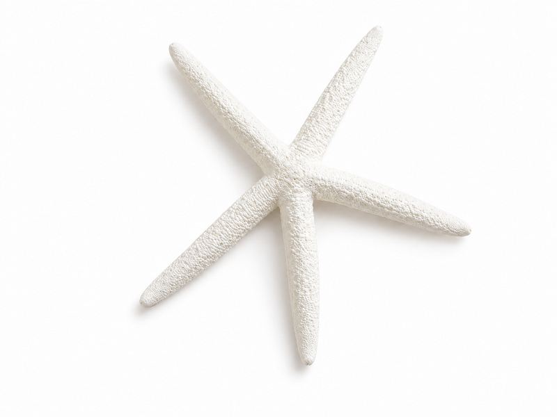 Starfish Finger Coloured White 4-5″ CodeS106
