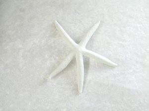 Starfish Finger Coloured White 4-5" CodeS106