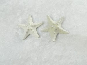 Starfish Horned Coloured White 2-3" CodeS112