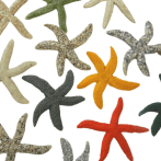 Starfish Resin – Flat Finger Size15cm
