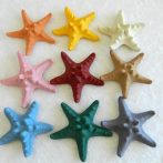 Starfish Horned Assorted Colours Size 5-8cm