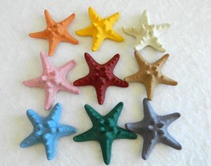 Starfish Horned Assorted Colours Size 5-8cm