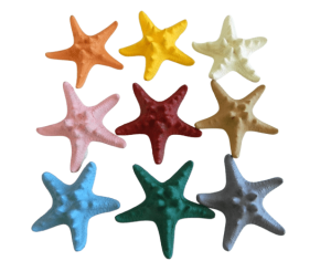 Starfish Horned Assorted Colours Size 5-8cm