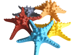 Starfish Horned assorted colours Size 18-20cm