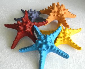 Starfish Horned assorted colours Size 18-20cm