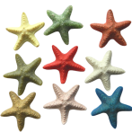 Starfish Resin - Jungle Size6-7cm