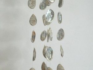 Chime - Abalone Small Polished CodeSC001
