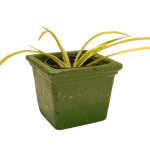 Planters - Square CodeFP10I green Size10X5cm