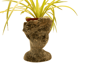 Head Planter Princess Size23X18m Black Mussel