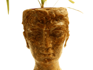 Man Head Planter Size23X14cm