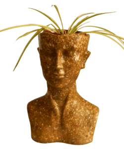 Isle of Man Planter L made with crushes sea shells