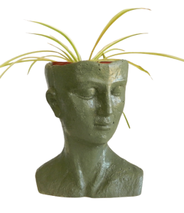 Isle of Man Planter M made with crushes sea shells