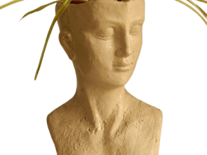 Isle of Man XL CodeFP01I