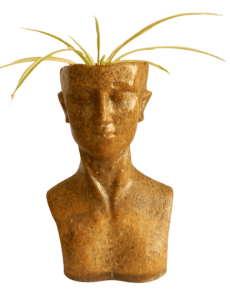 Isle of Man Planter XL Light Brown