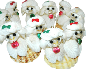 Poodle Cockle Shell