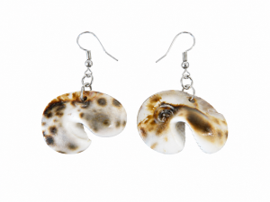 Sea Shell Jewellery - Earrings - Cowrie Cut CodeJE16