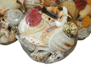 Fruits of the Sea 8