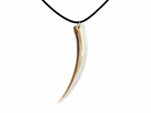 Necklace - Abalone Rim CodeJN006