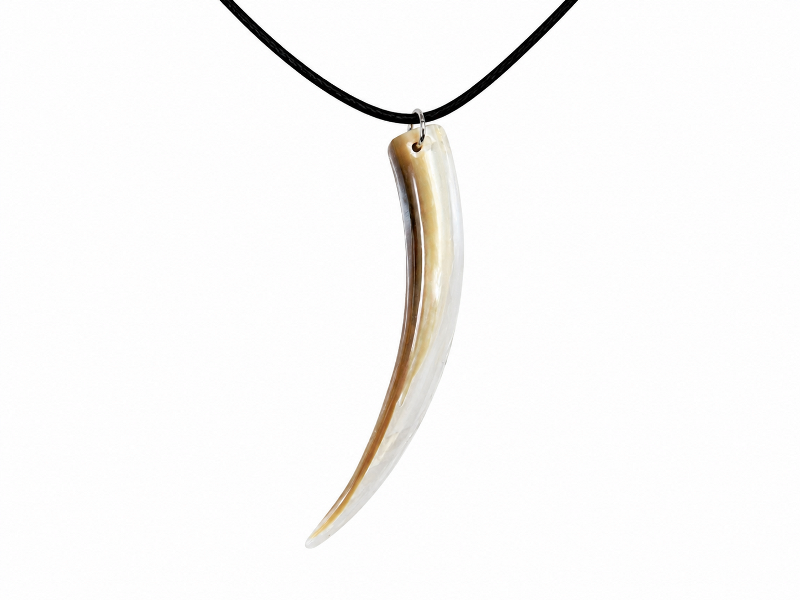 Necklace – Abalone Rim CodeJN006
