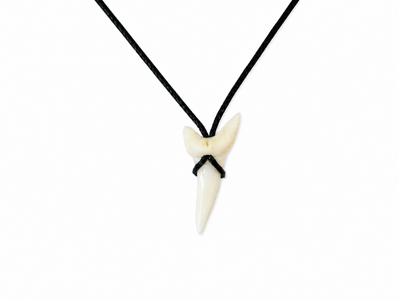 Mako Shark Tooth Necklace on Cord Size 2.75-3cm CodeMS014