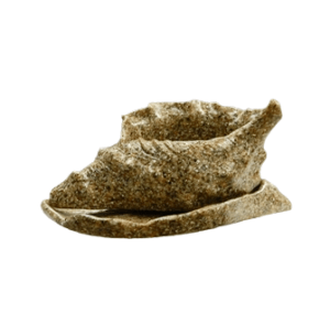 Shell Pot Resin - Sarmaticus Sea Shells CodeH027