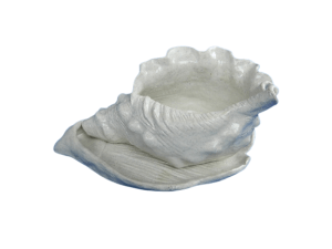 Shell Pot Resin - white Sea Shells CodeH027D