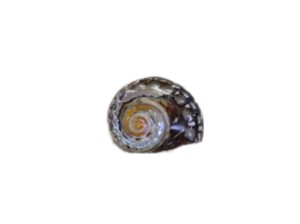 Sarmaticus-Natural-Polished-CodeS077-Size6-7cm