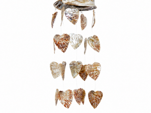Wind Chime-Abalone Natural Polished Shell with Ablaone Plett Red Polished Heart Shape Shells CodeSC076
