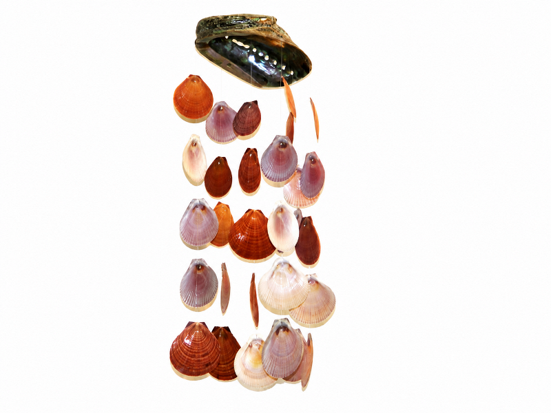 Wind Chime – Abalone Natural Polished Shell with Brown Scallops Shells CodeSC078