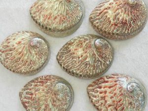 S049-Plett-Red- 15-16