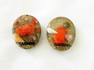 Crab Magnet CodeM093