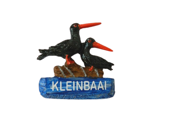 Magnet – Black Oyster Catcher Double CodeM050