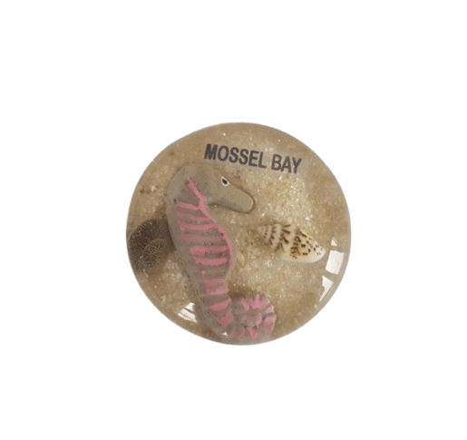 Magnet – Round Sea Horse Sand CodeM112
