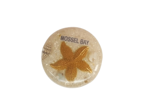 Magnet Round Stafish Horned White CodeM116