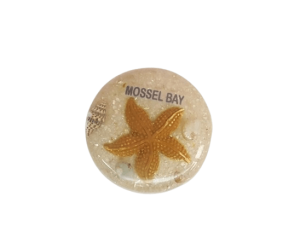 Magnet Round Stafish Horned White CodeM116