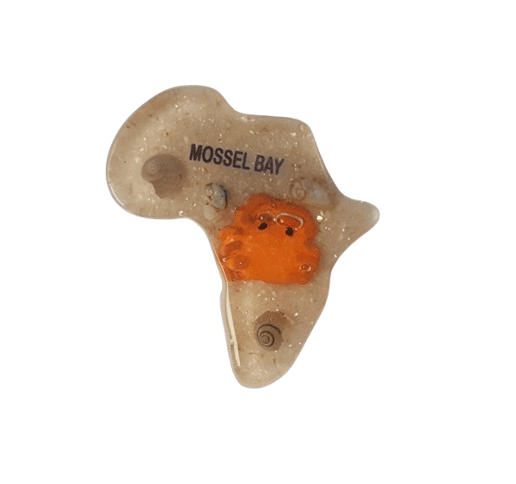 Magnet – South Africa Crab CodeM266
