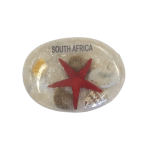 Magnet – Oblong Starfish White CodeM254