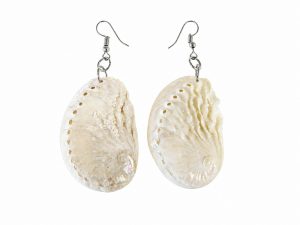 Sea Shell Jewellery - Earrings-Abalone Baby Cleaned CodeJE068