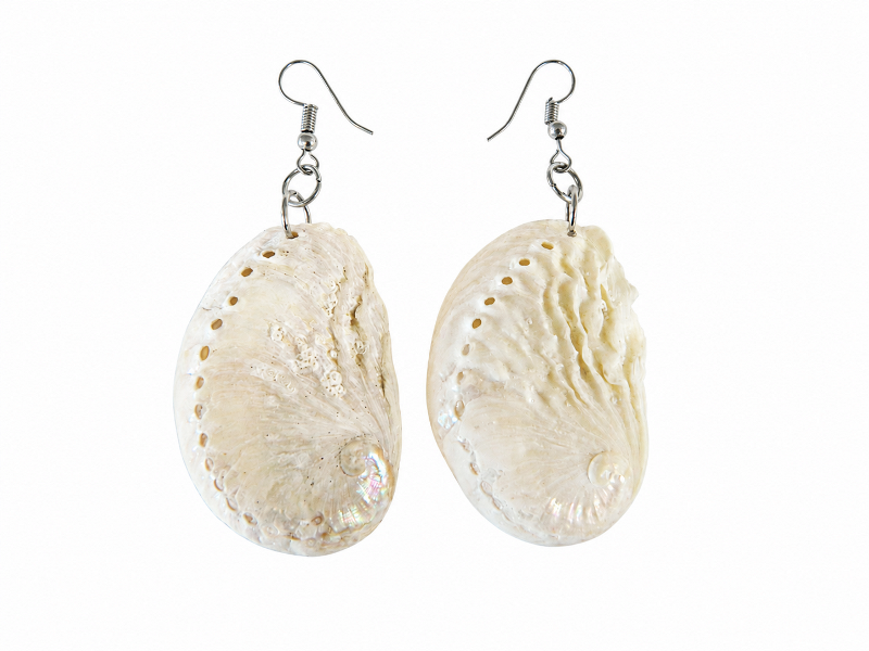 Sea Shell Jewellery – Earrings-Abalone Baby Cleaned CodeJE068