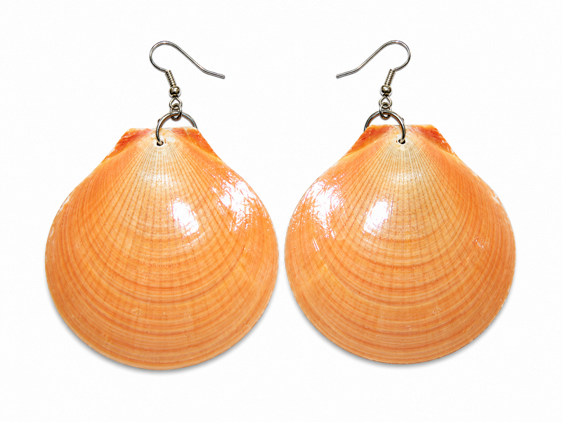 Sea Shell Jewellery – Earrings– Scallop Brown CodeJE010