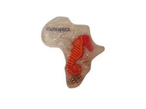 Magnet - South Africa Seahorse CodeM264