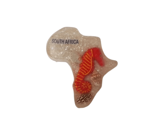 Magnet – South Africa Seahorse CodeM264