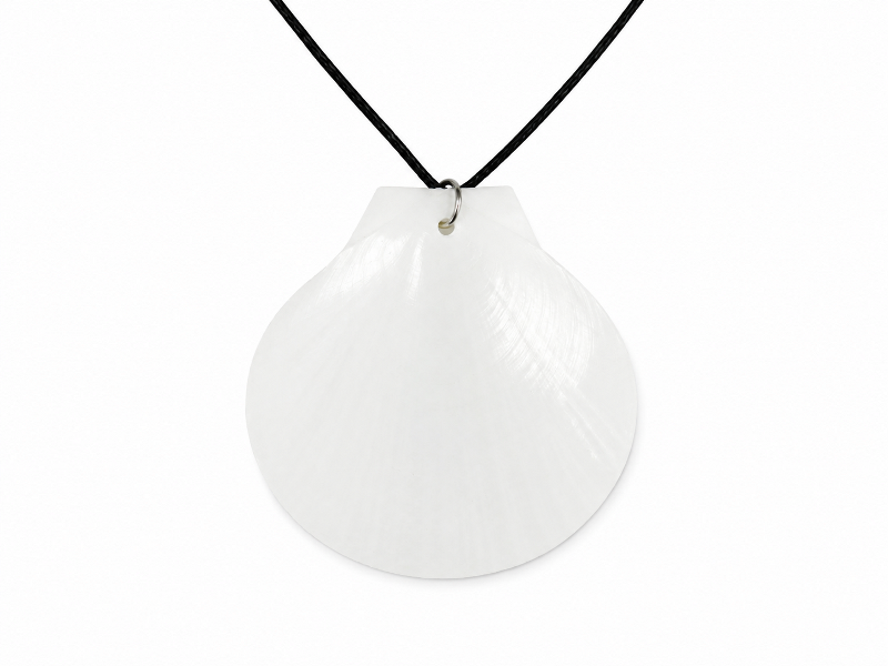 Necklace – Scallop White CodeJN013