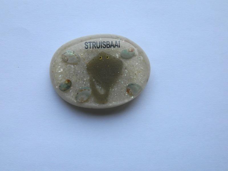 Magnet Oval Stingray CodeM234