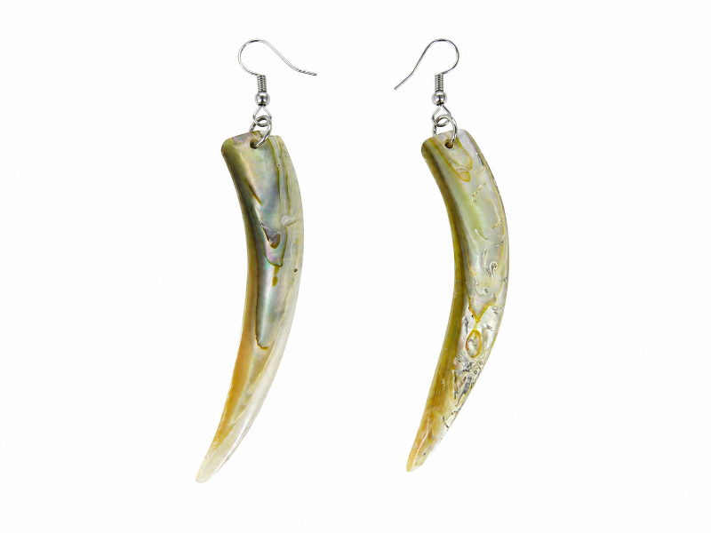Sea Shell Jewellery – Earring – Abalone Rim CodeJE007