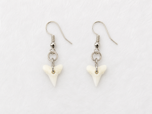 Mako Shark Tooth Earing CodeMS073