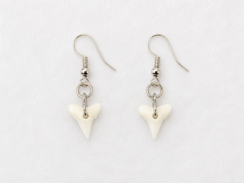 Mako Shark Tooth Earing CodeMS073