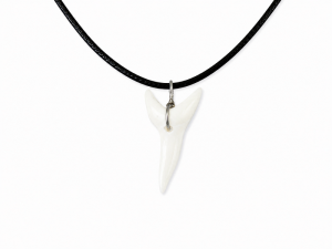 Necklace-Mako-Shark-Tooth-3-3.5-MS084